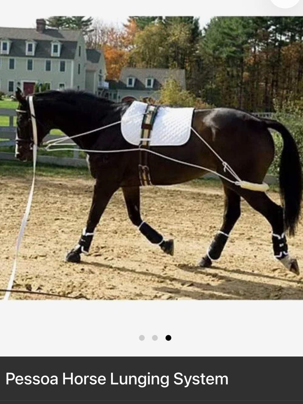 Pessoa Lunging System Horse Training Aid New in Package